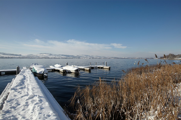 Seerose Resort and Spa Meisterschwanden_region seetal_ 