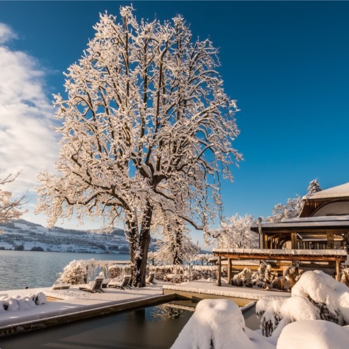 Seerose-Resort-and-Spa-Meisterschwanden_Winter_7.jpg