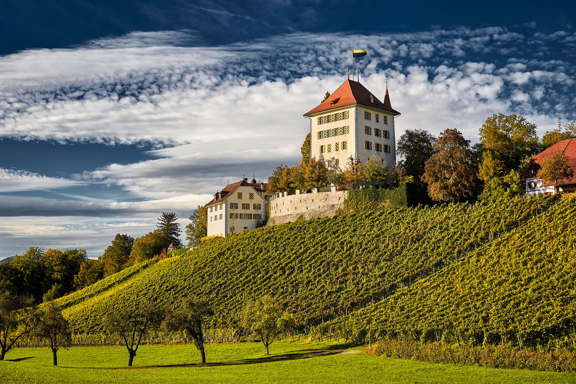Seerose Resort and Spa Meisterschwanden_region_ 