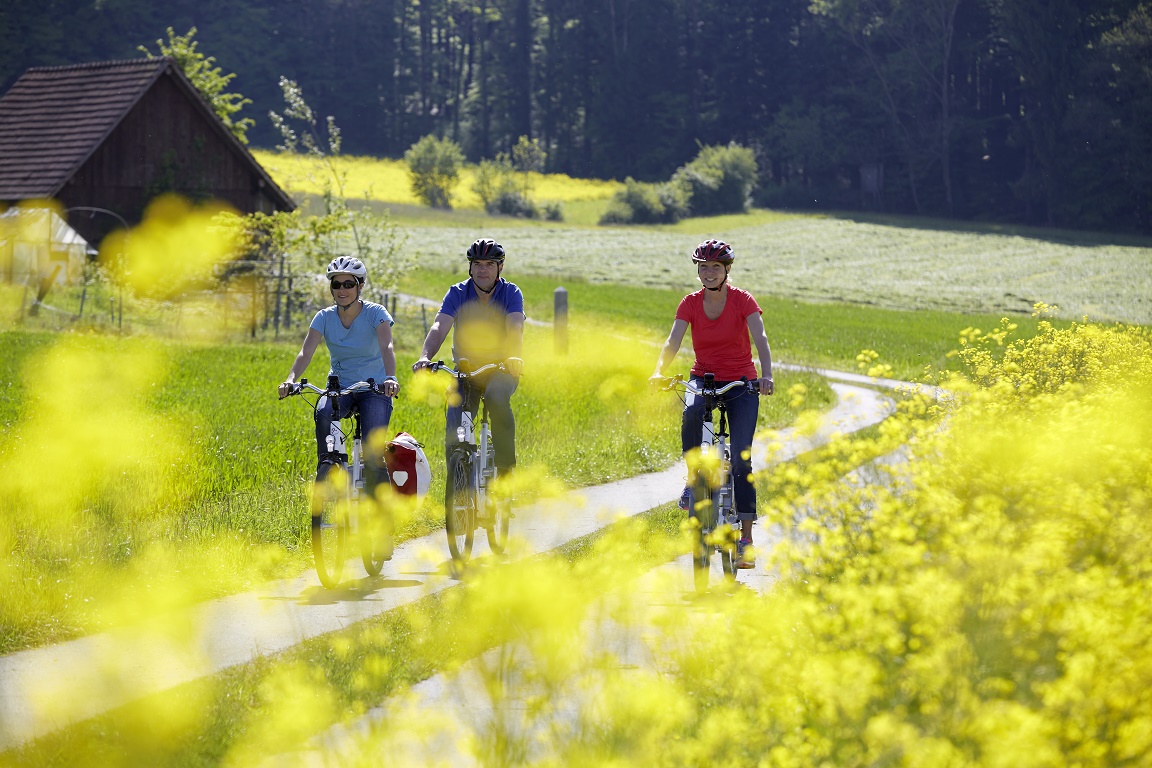 Seerose Resort and Spa Meisterschwanden_region_ 