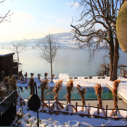 Seerose-Resort-and-Spa-Meisterschwanden_Winter_2.jpg